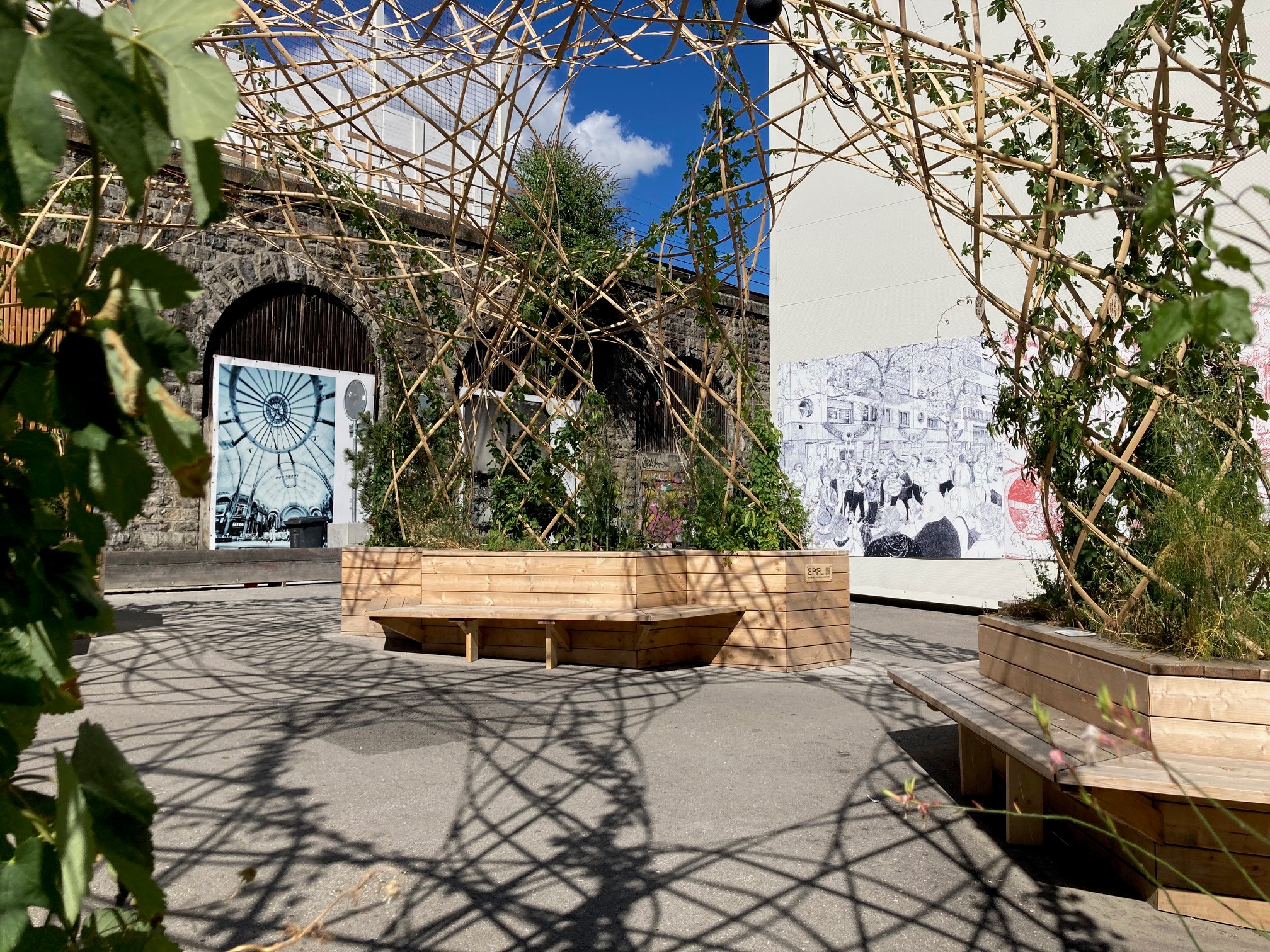 Vignette place au frais