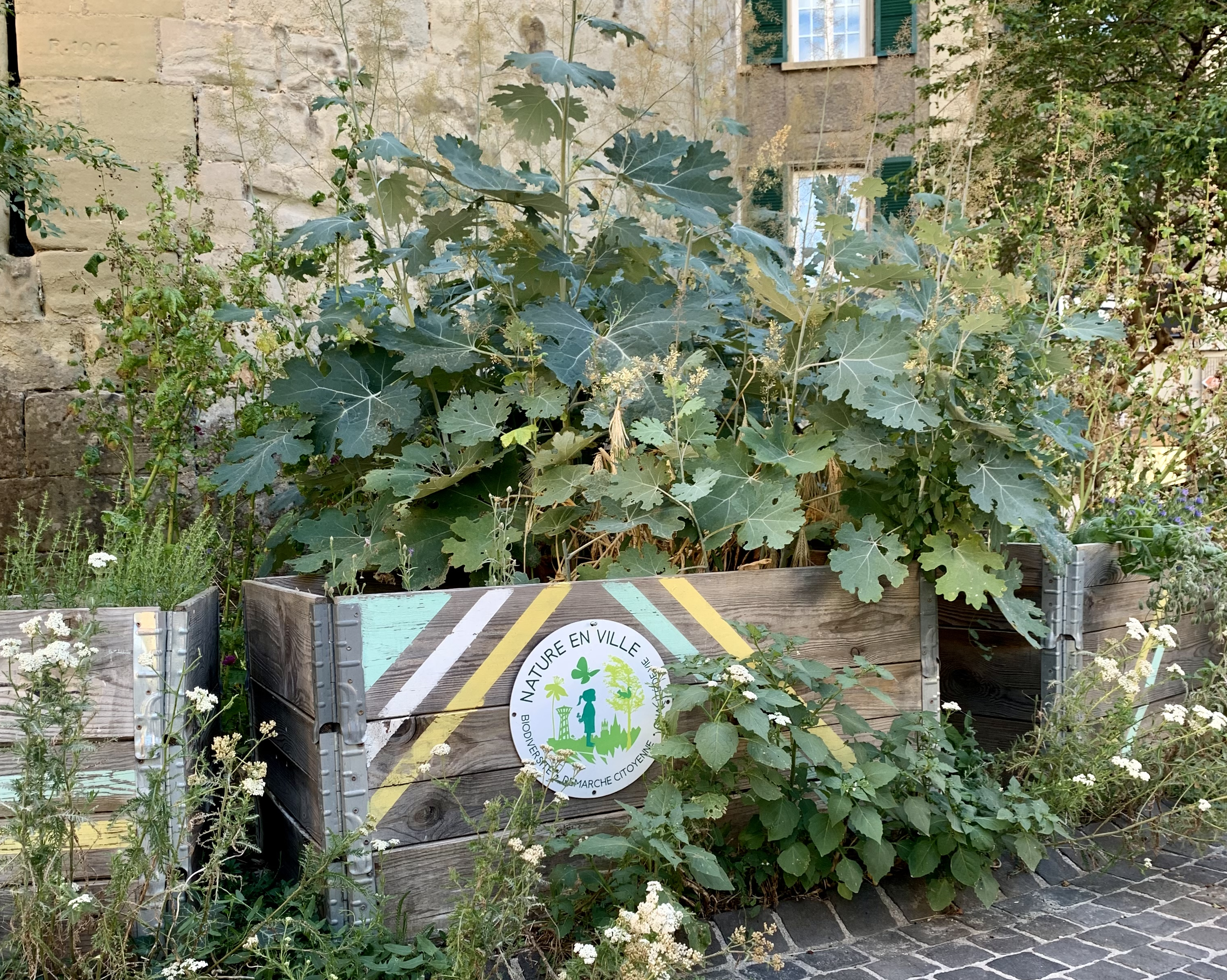 NatureEnVille_©VIlle de Lausanne_c