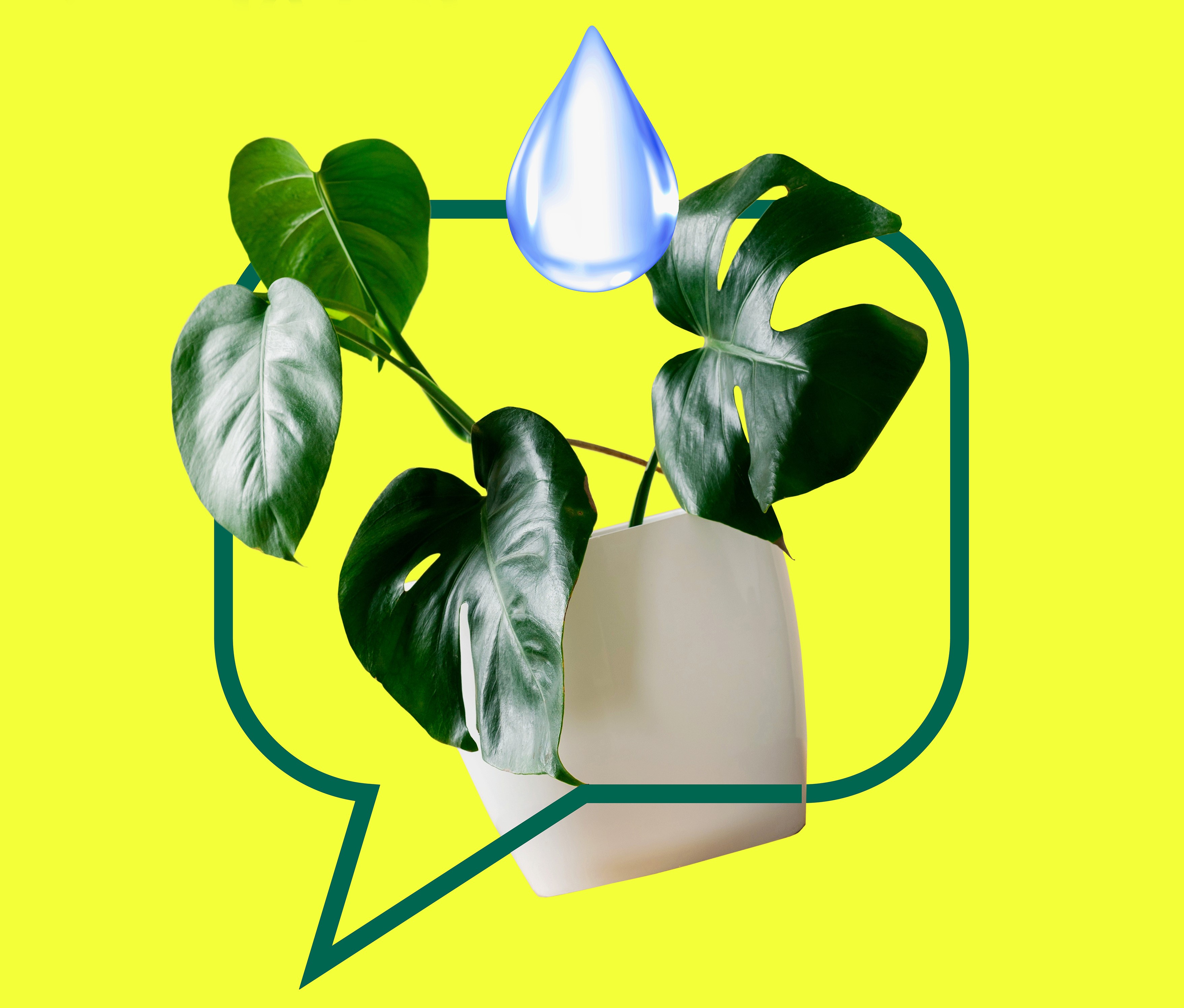 Journée_de_la_démocratie