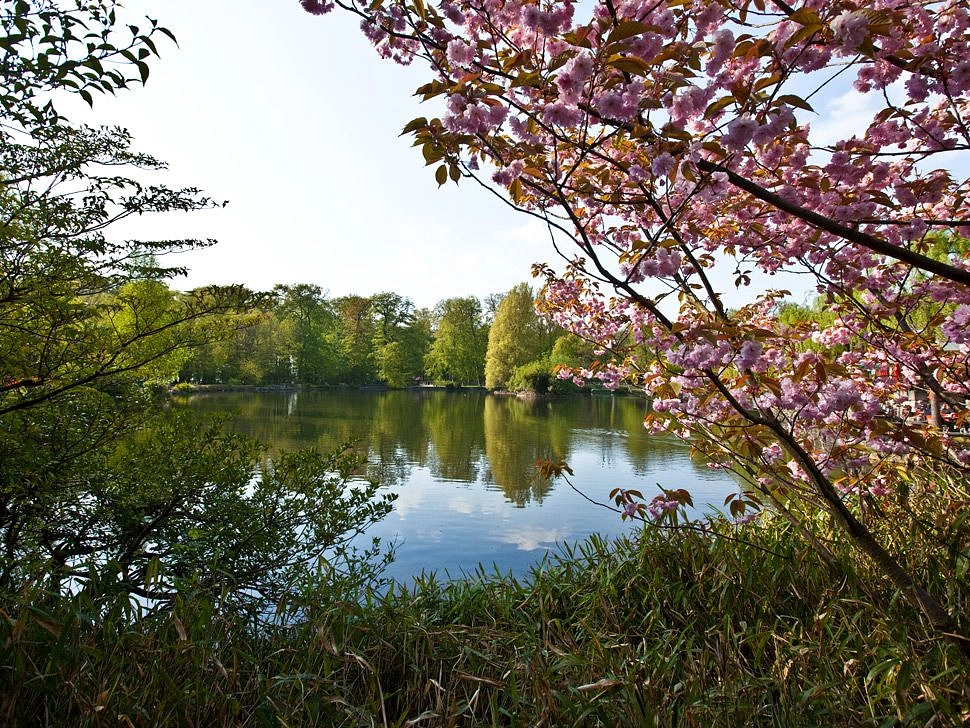 Image média: Forêt de Sauvabelin