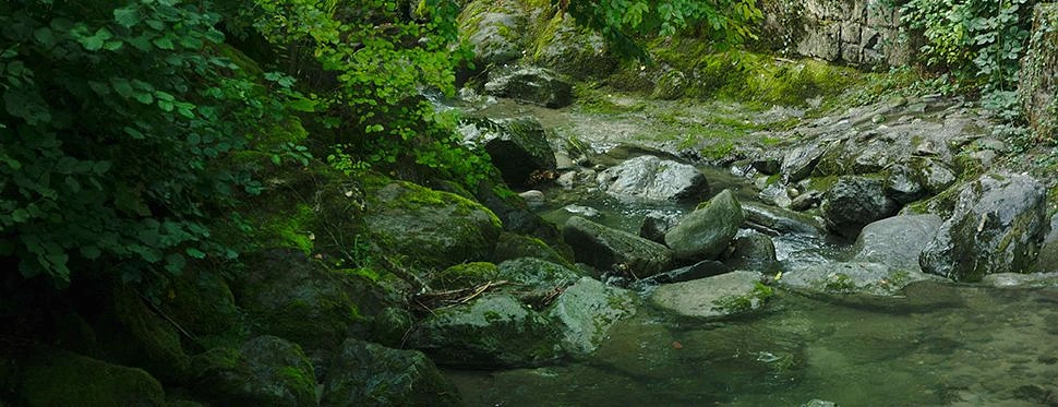 Image média: Chemin de la Vuachère - Gottettaz