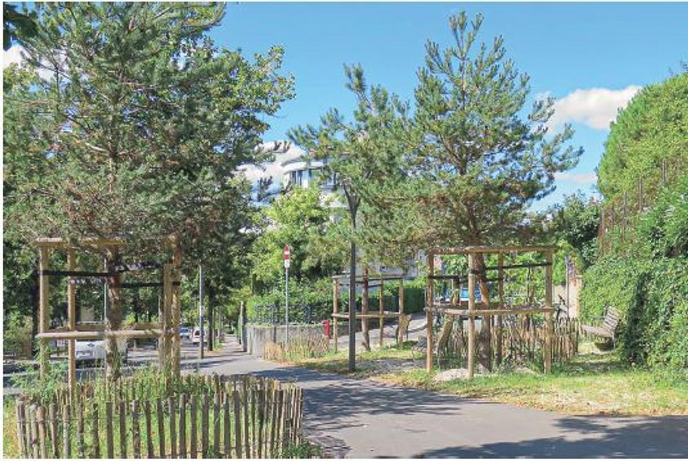 Image média: Aménagement canopée à l’avenue des Acacias