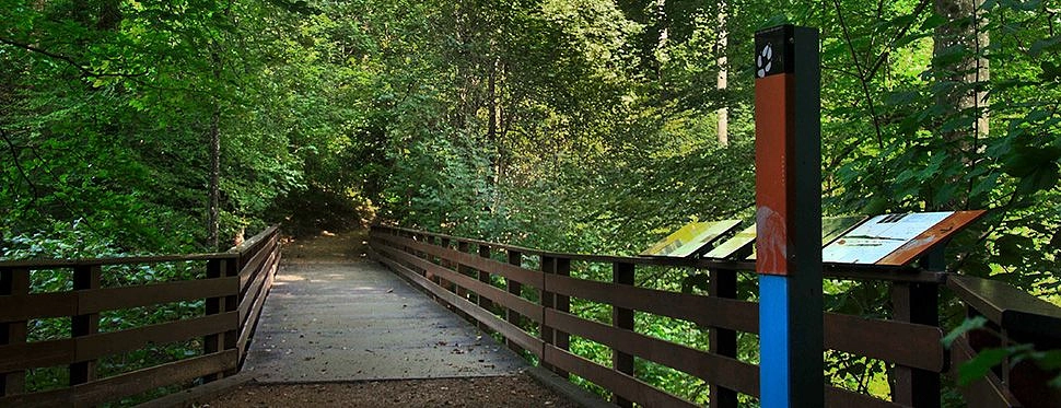 Image média: Vuachère, Léman Chissiez