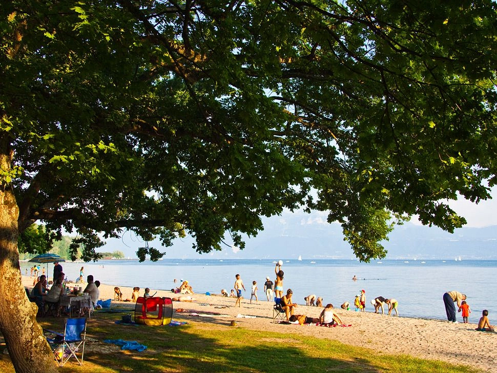 Image média: Plage de Vidy