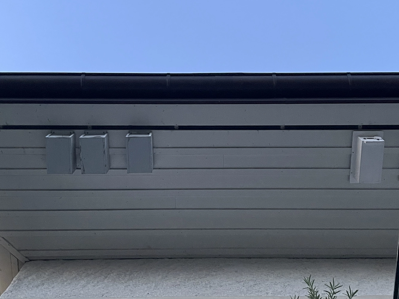 Image média: Entendu ce soir le striement de 2 martinets dans deux des 12 nichoirs de l’immeuble, 4 autres individus vus en vol. Première observation de la saison