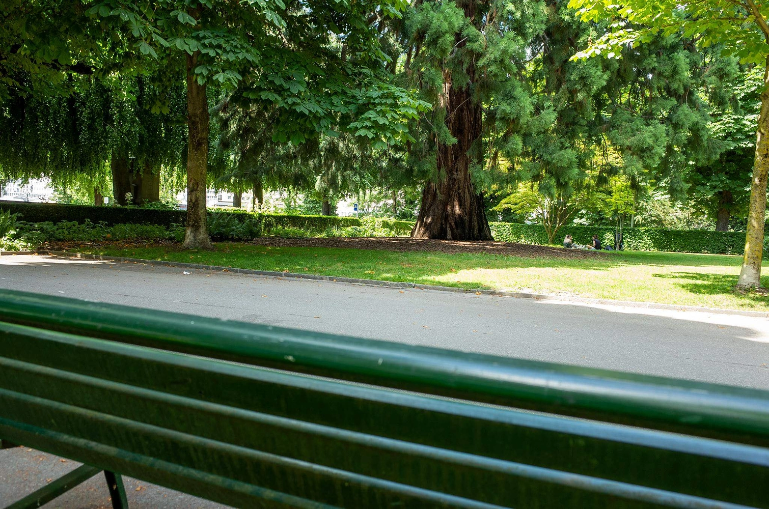 Image média: Promenade Mary-Widmer-Curtat - banc