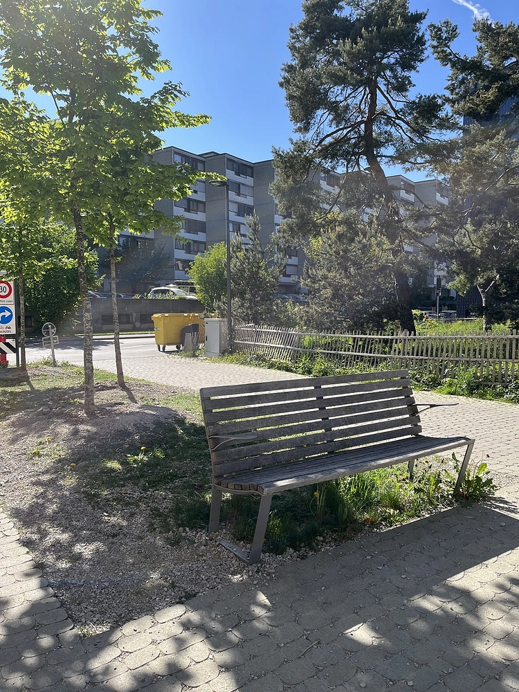 Image média: Rue Elisa-Serment