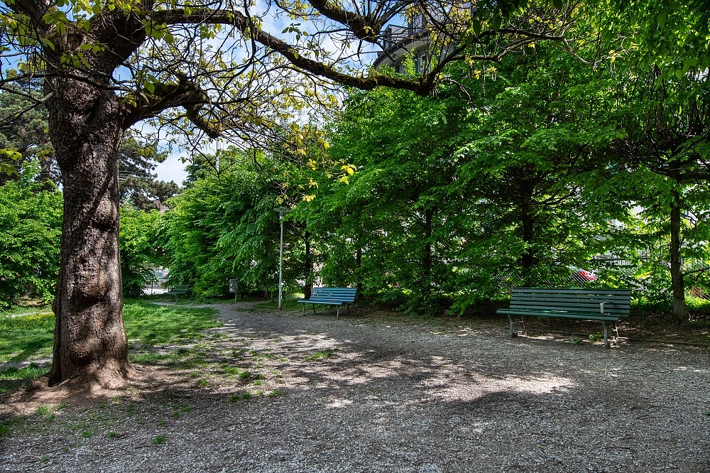 Image média: Petit-Parc de Montétan