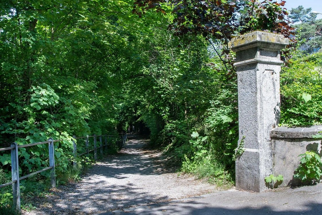 Image média: Promenade des Molasses