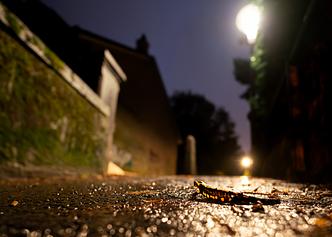 © Gaël Boillat - Nos voisins sauvages