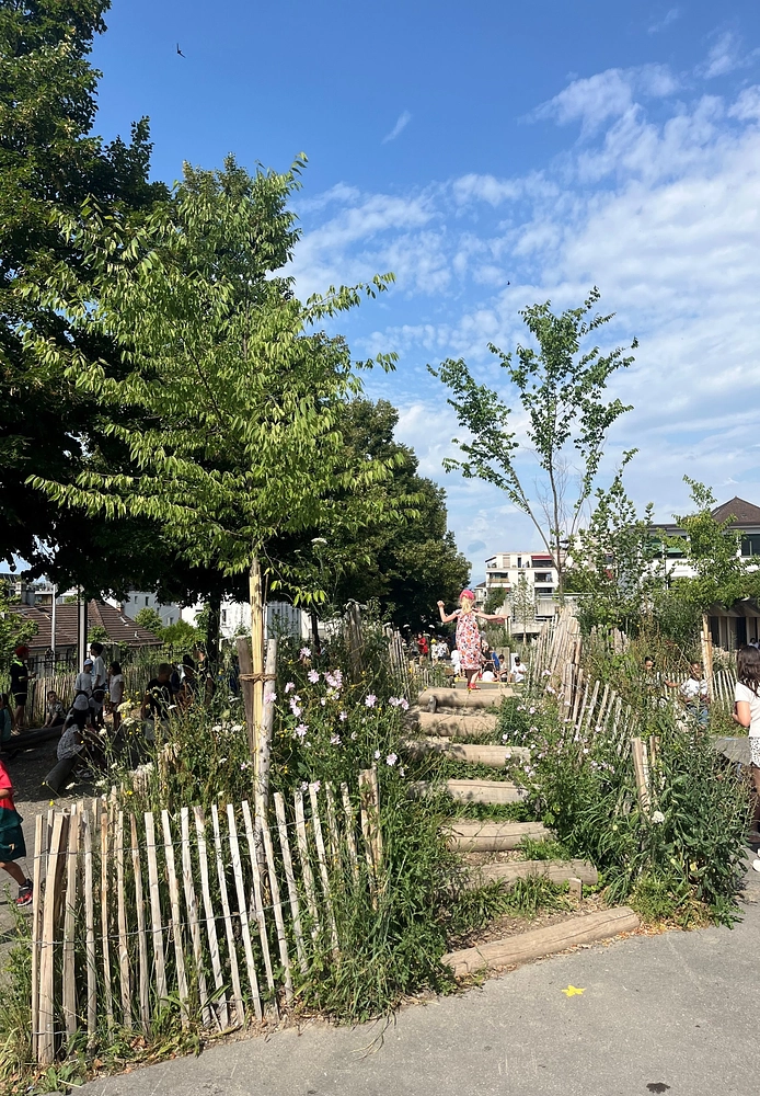 Image média: Cour d'école du collège de Prélaz