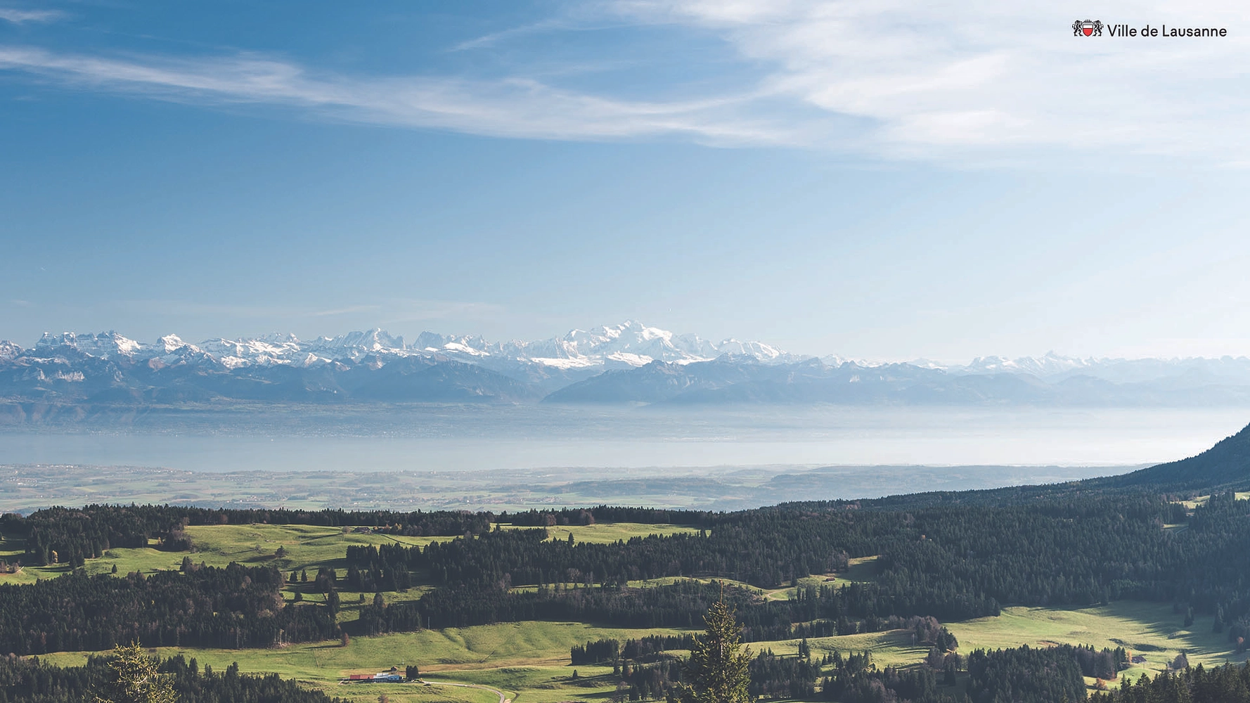 Image média: Test bis bis bis