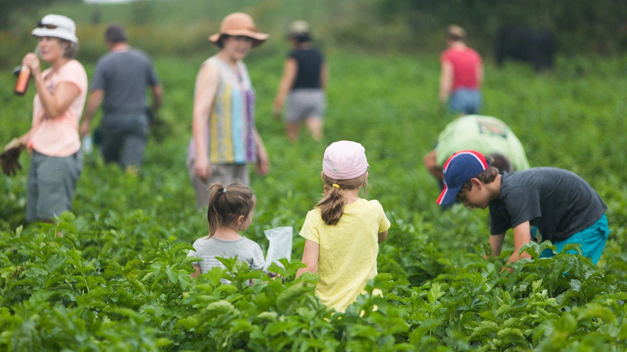 Image média: Cette mesure est essentielle à notre survie