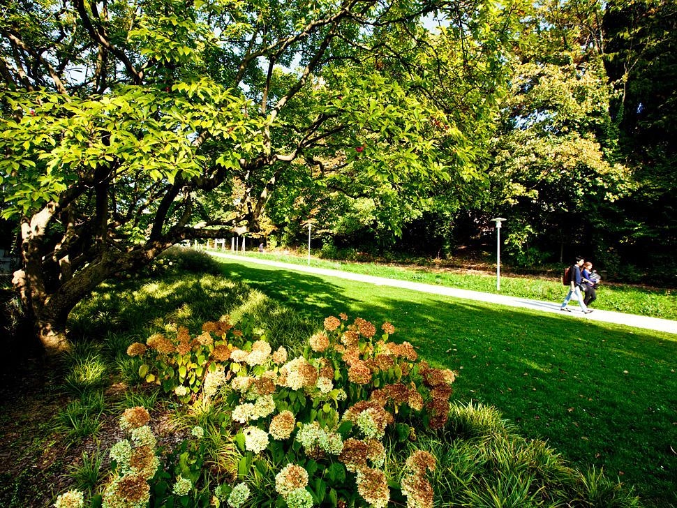 Image média: Promenade de la Ficelle