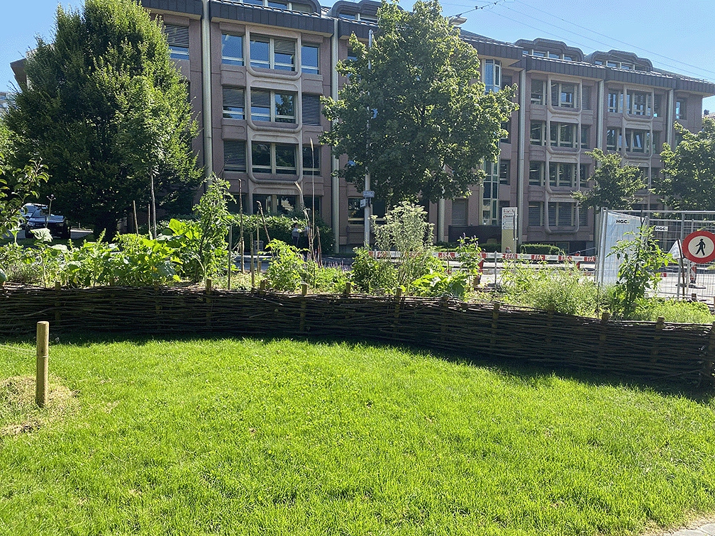 Image média: Jardins Montchoisi