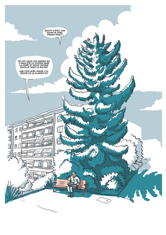 Image média: BD sur l'histoire du quartier Boisy-Pierrefleur