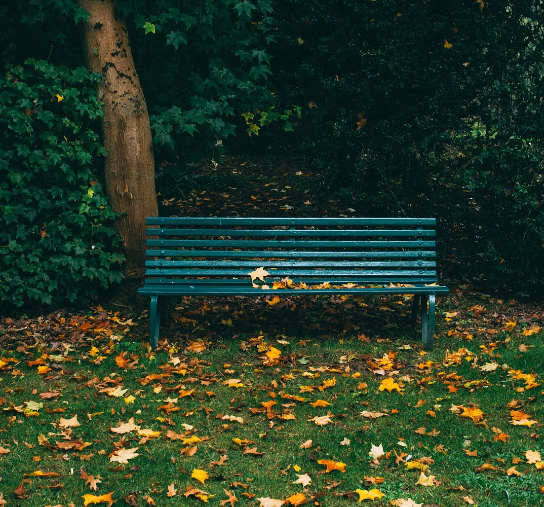 Image média: Parc du réservoir de Montalègre