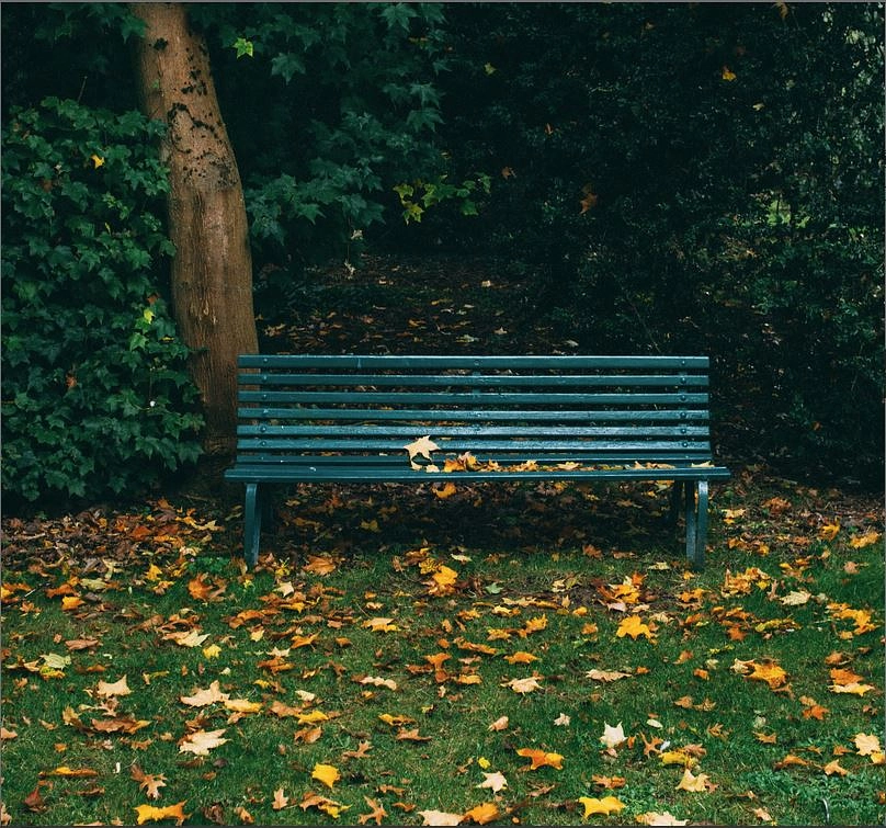 Image média: Parc Cèdres - HEP