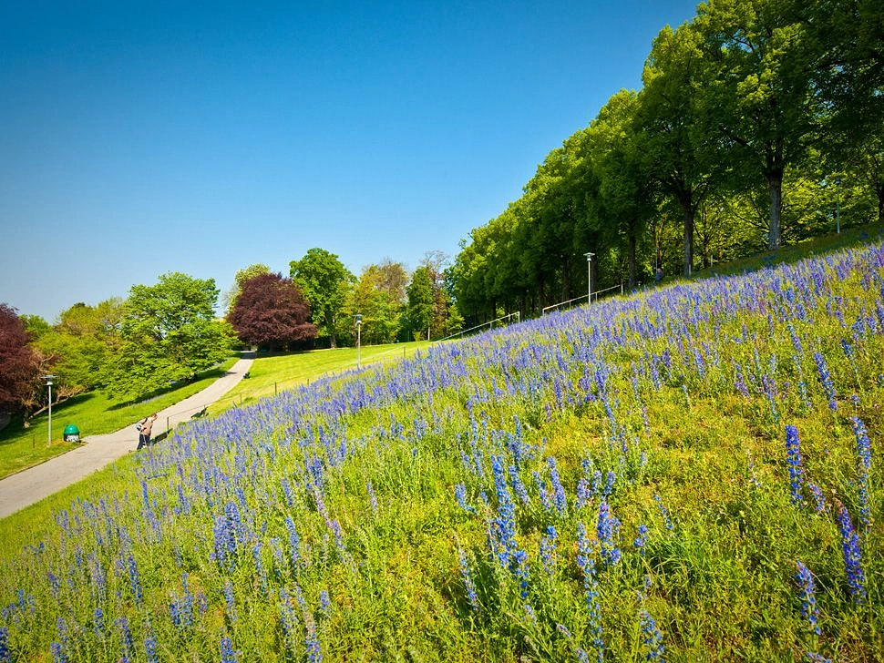 Image média: Parc de Valency