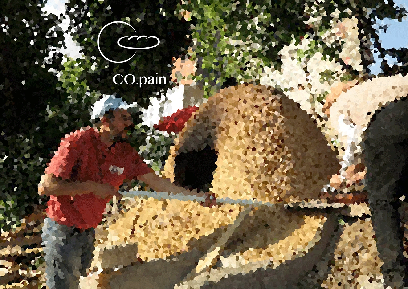 Image média: Co.pain