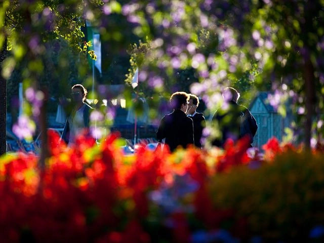 Image média: Allée des Bacounis