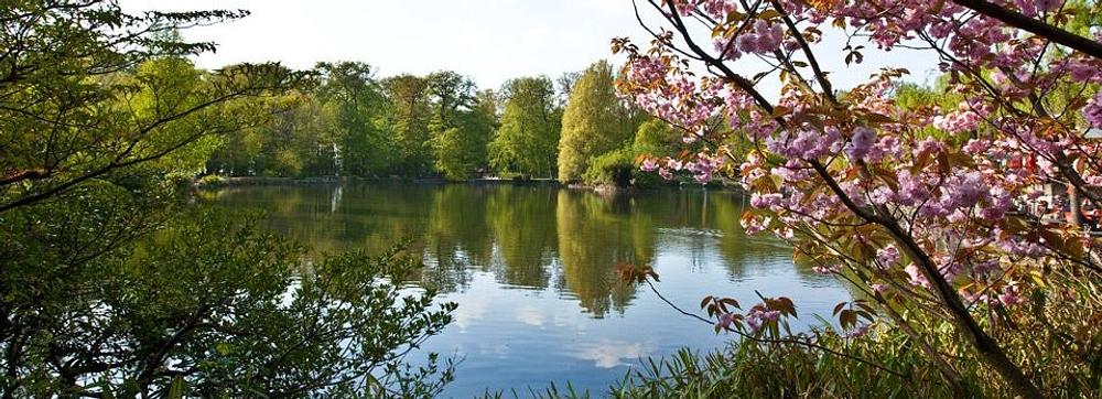 Image média: Espaces Frais