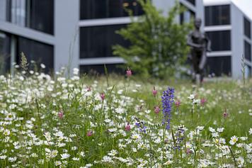 © Benoît Renevey _ Ville de Lausanne
