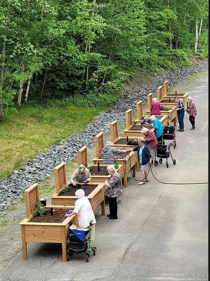 Image média: Potager séniors