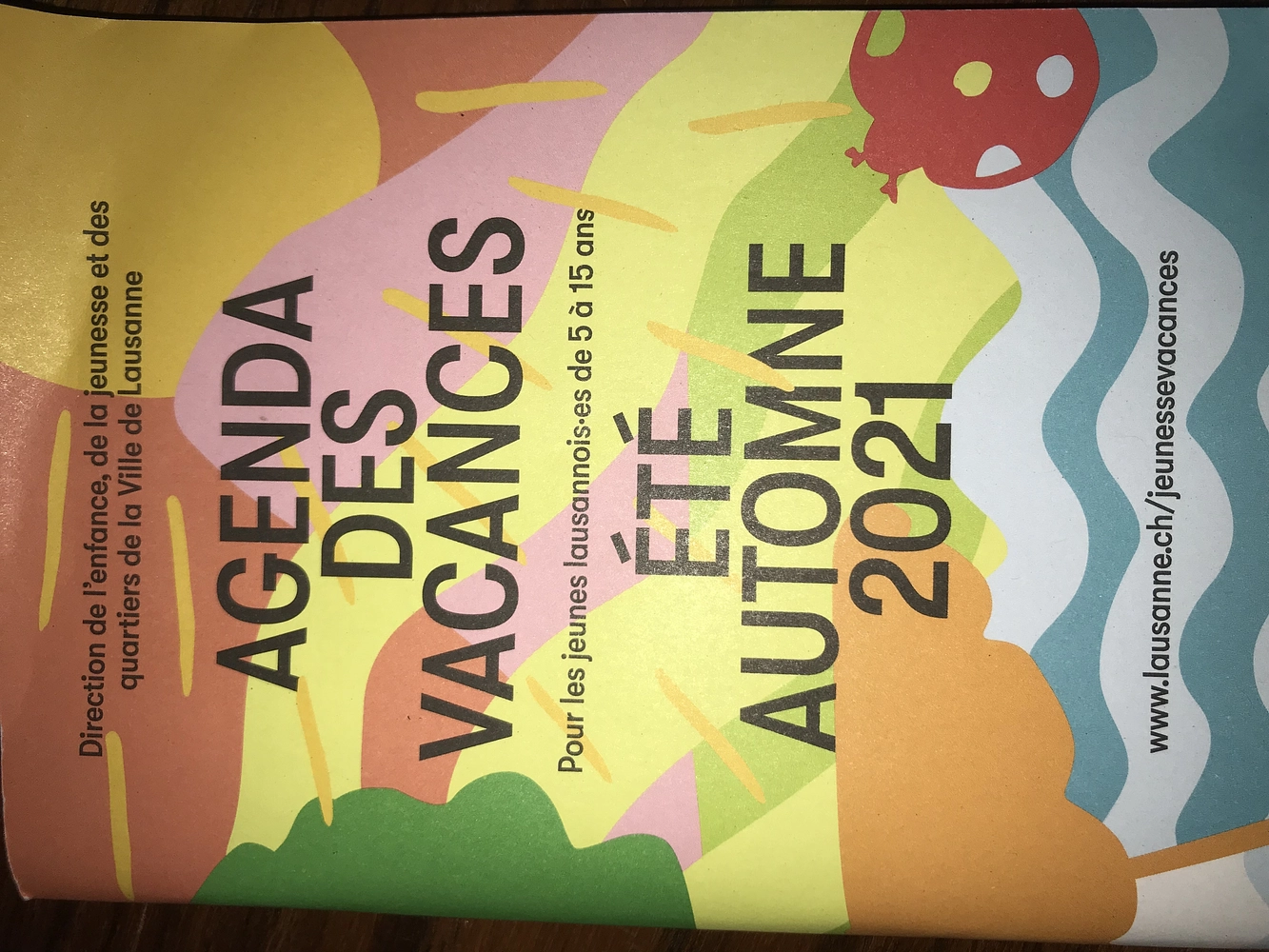 Image média: Centralisation des inscriptions aux offres de vacances