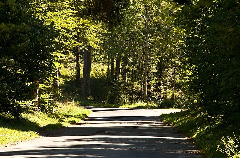 Image média: Bois Mermet