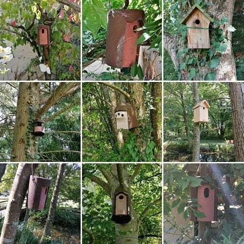 Image média: Refuge pour les oiseaux pendant la periode hivernale.