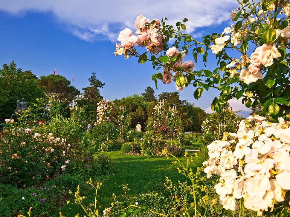 Image média: Place du Général Henri-Guisan