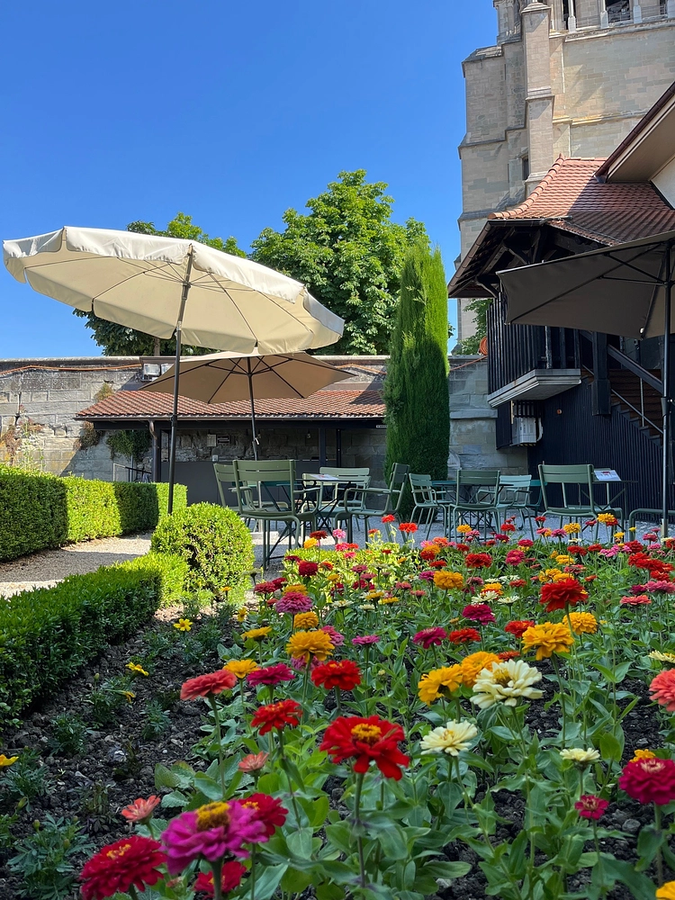 Image média: Buvette du Musée Historique Lausanne