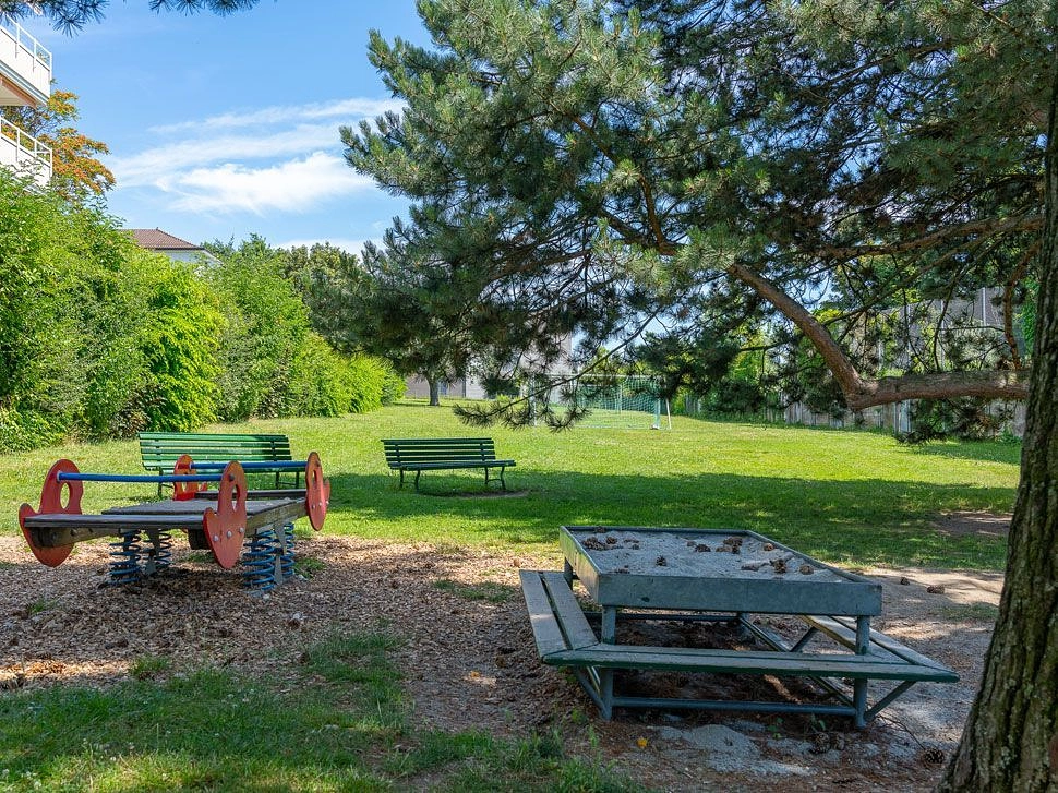 Image média: Primerose, les Plaines