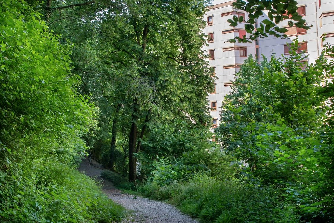 Image média: Sentier Vuillemin-Borde