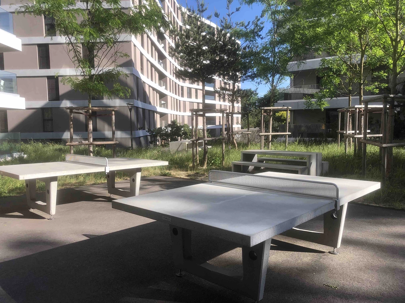 Image média: Ping-pong, pétanque, foot et basket aux Fiches Nord!