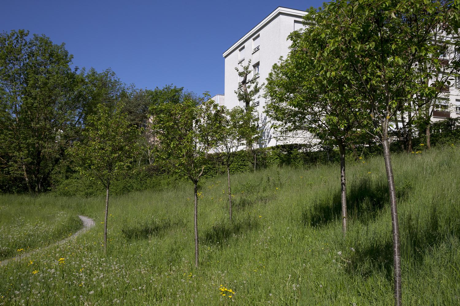 © Benoît Renevey _ Ville de Lausanne