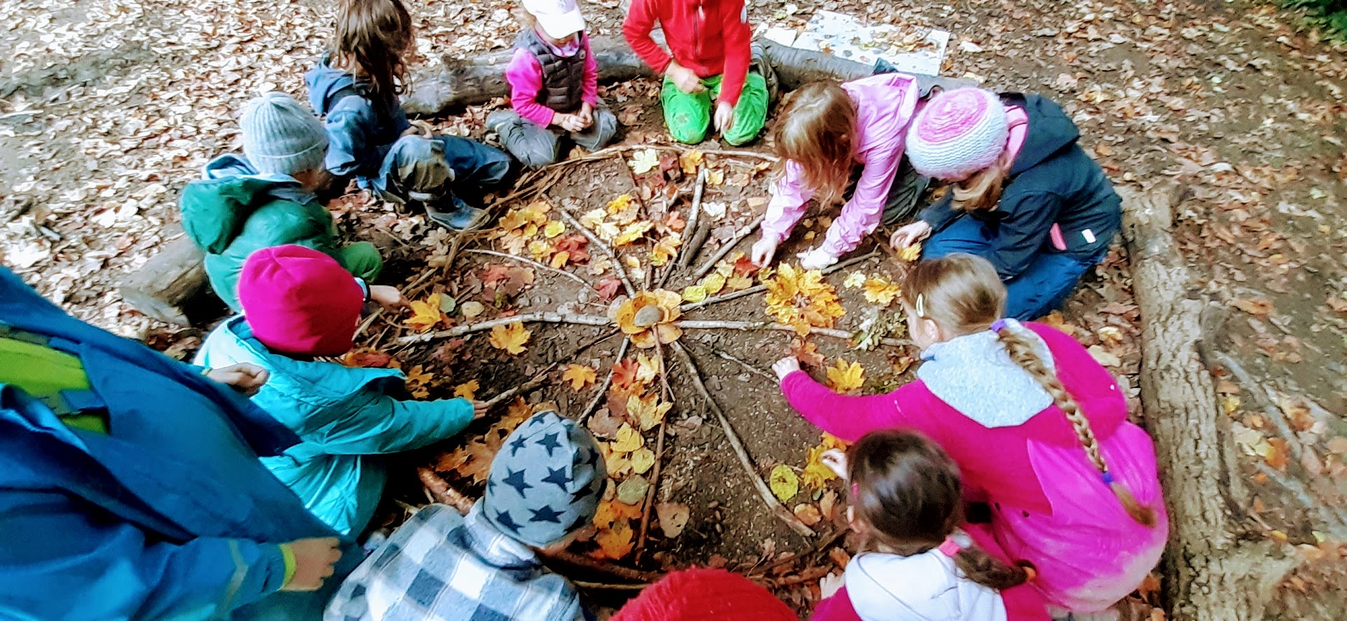 Image média: Forêt-Où-Verte, un accueil Parents-Enfants en Forêt. 