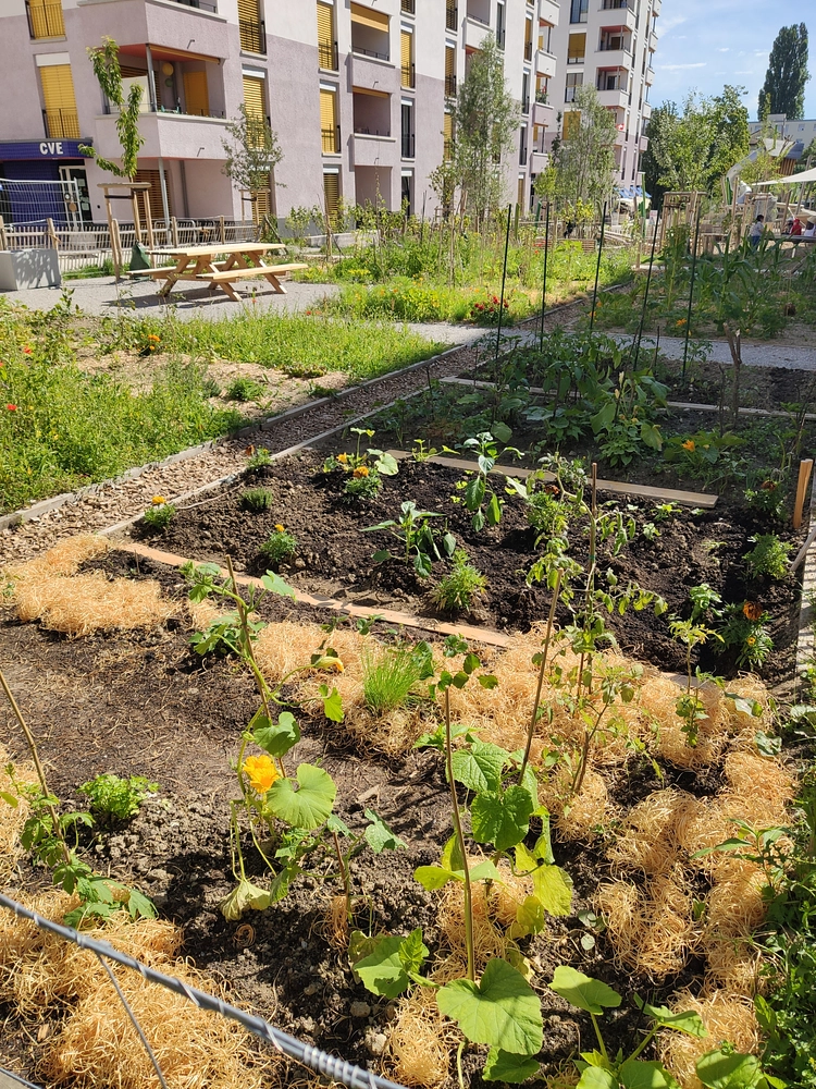 Image média: Association Les Champs du Loup