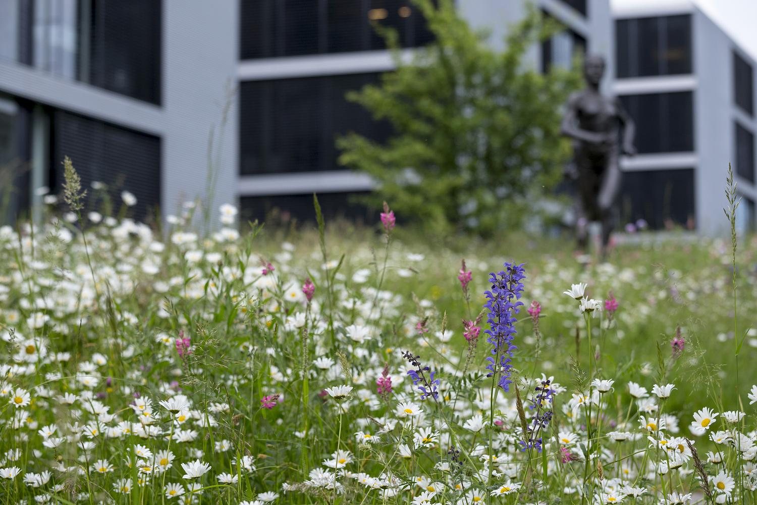 © Benoît Renevey _ Ville de Lausanne