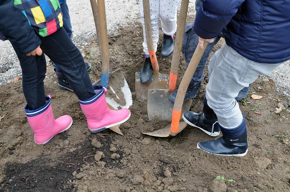Media picture: Un Jardin de Quartier à Dapples