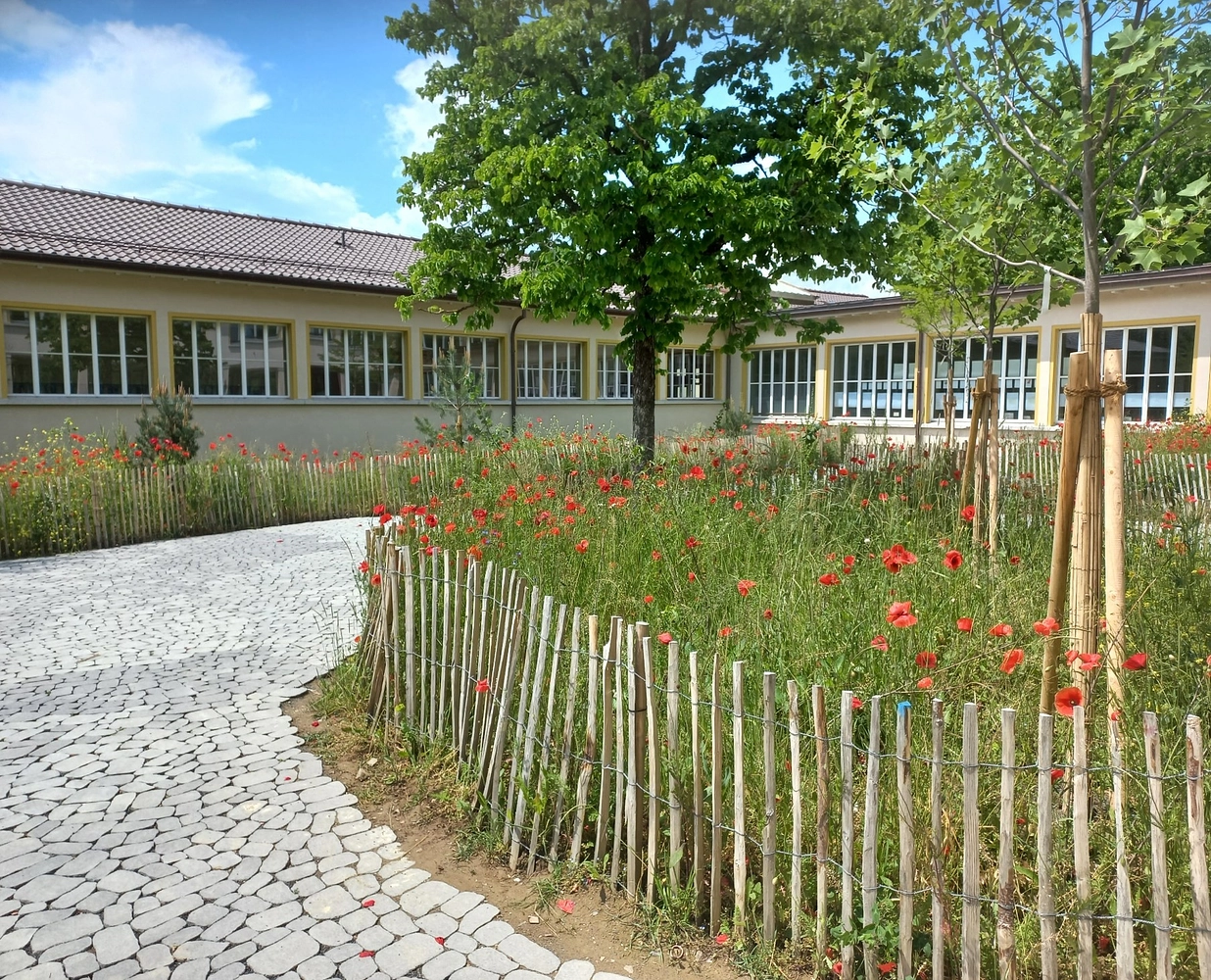 Image média: Cour d'école du collège de Montoie