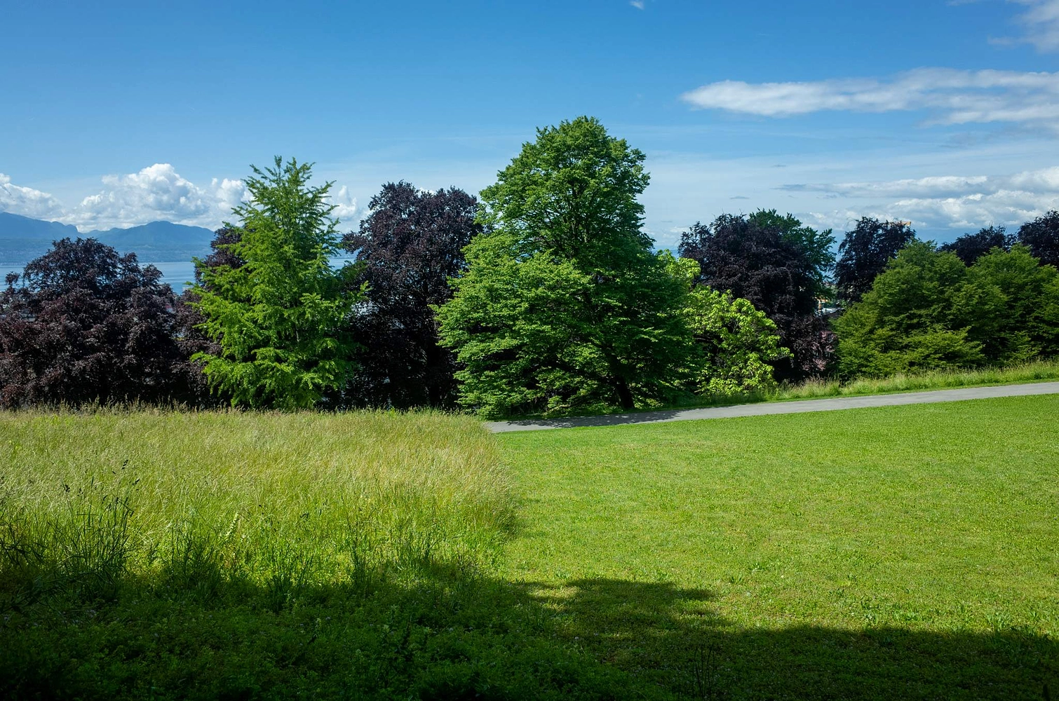 Image média: Parc de Valency
