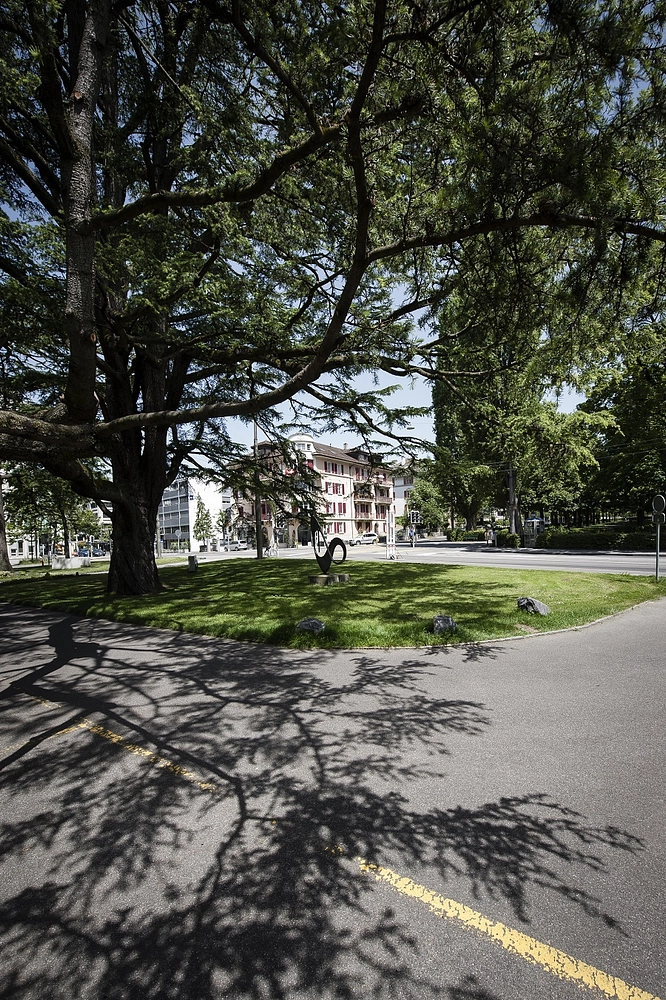 Image média: Parc Cèdres - HEP