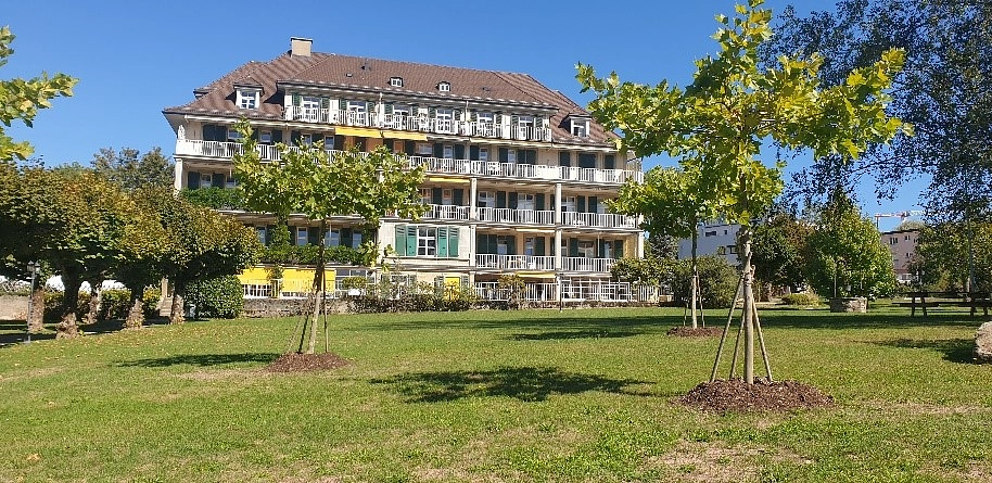 Image média: Redonner la place à la Nature, un bienfait pour tous, Eben-Hézer Lausanne
