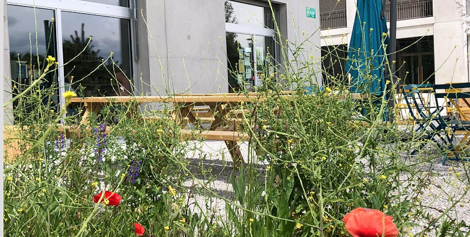 Image média: Groupe de travail Surface d&#39;activités