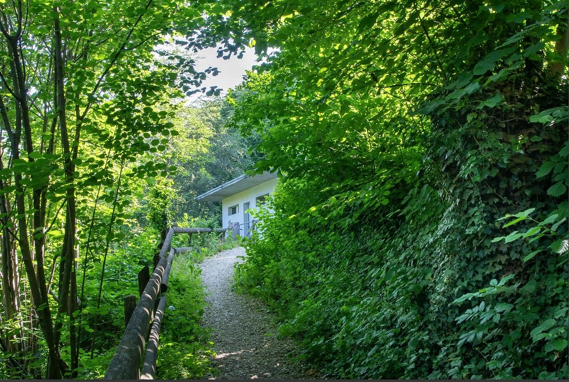 Image média: Chemin des Falaises
