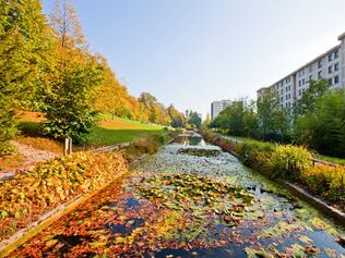 Parc du Désert