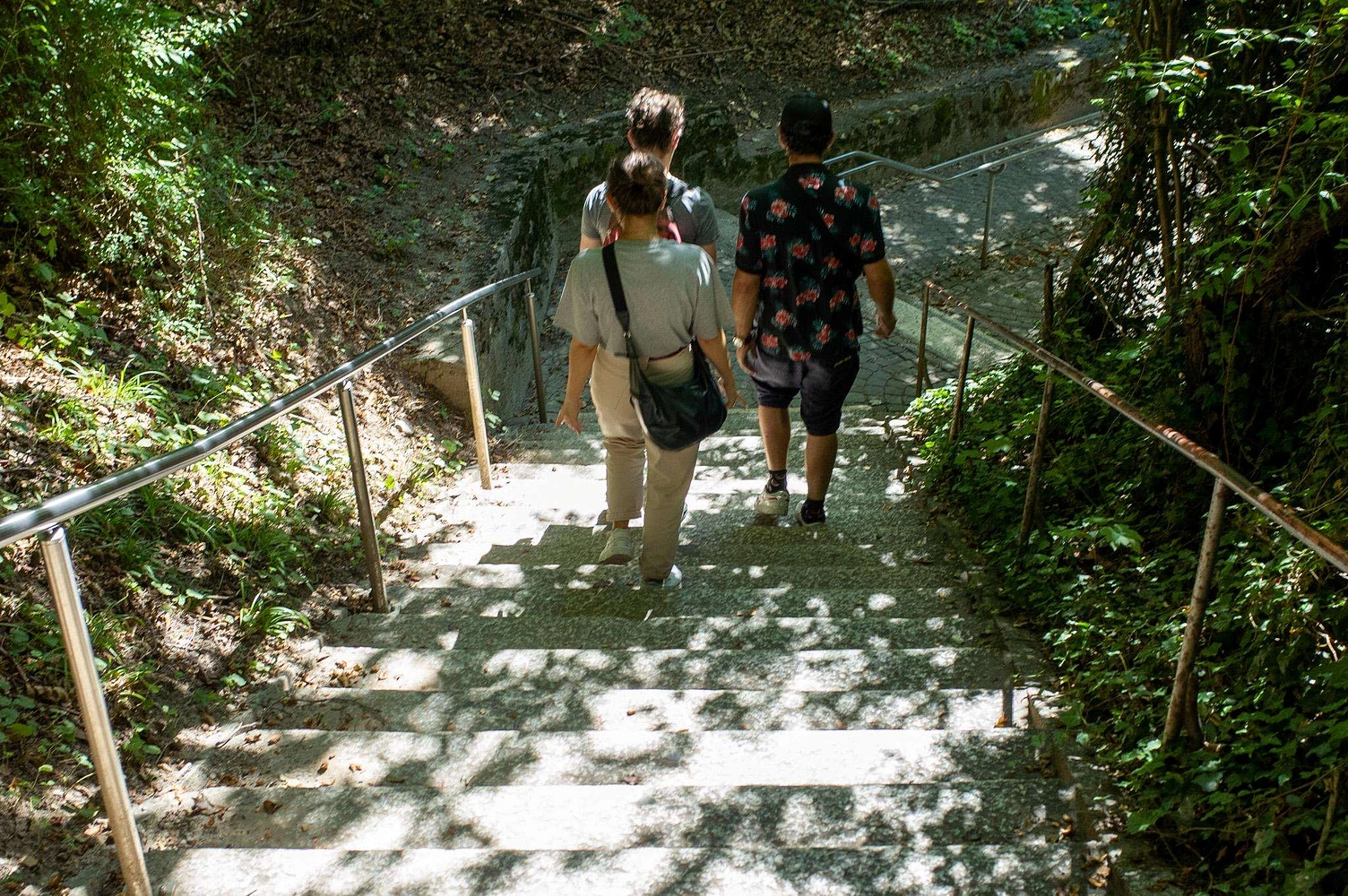 Image média: Chemin du Petit Château