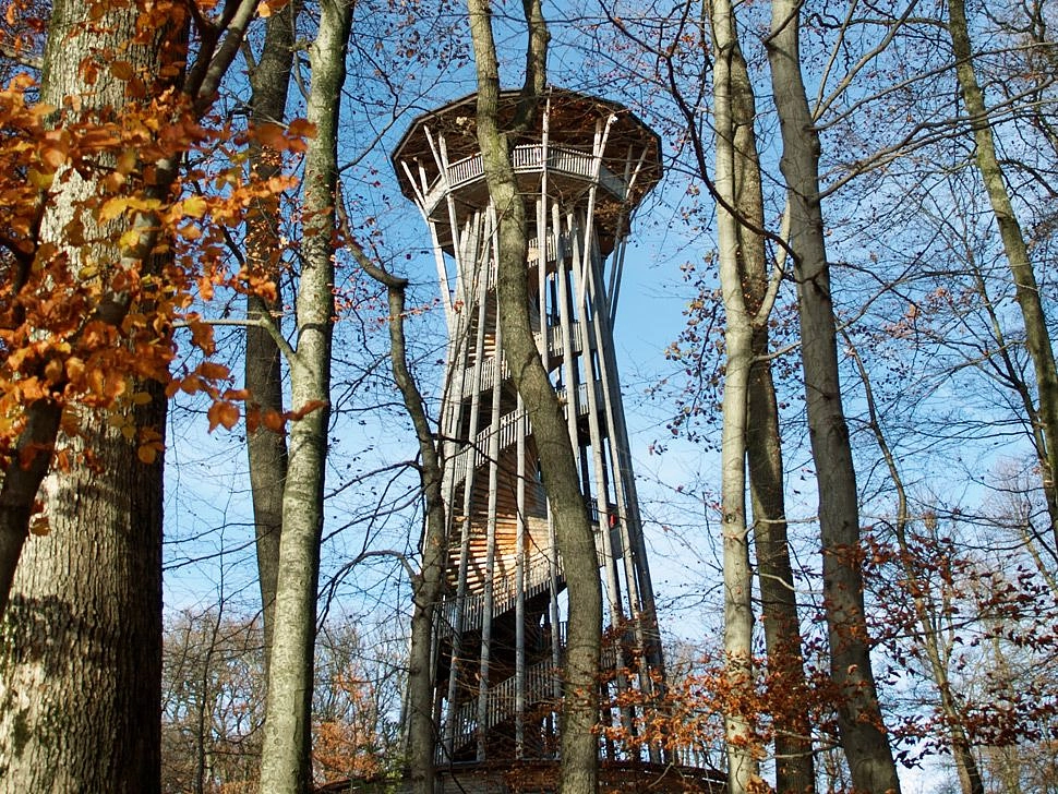 Image média: Tour de Sauvabelin